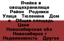 Ячейка в овощехранилище › Район ­ Родники › Улица ­ Тюленина › Дом ­ 2а › Общая площадь ­ 3 › Цена ­ 110 000 - Новосибирская обл., Новосибирск г. Недвижимость » Другое   